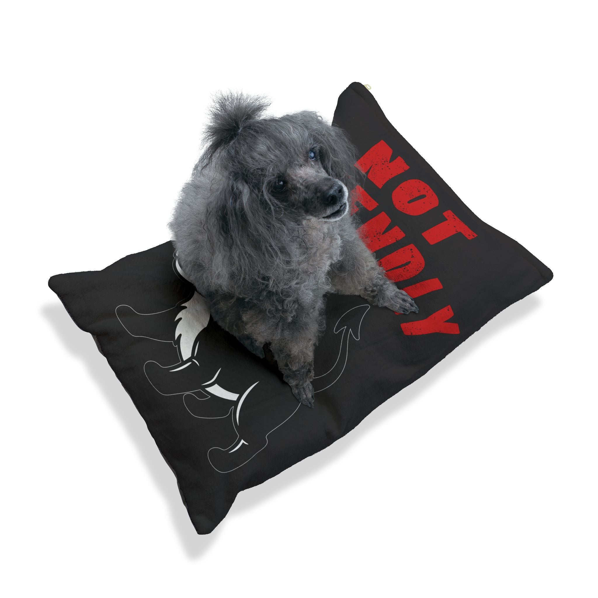 “Not Friendly” Pet Bed