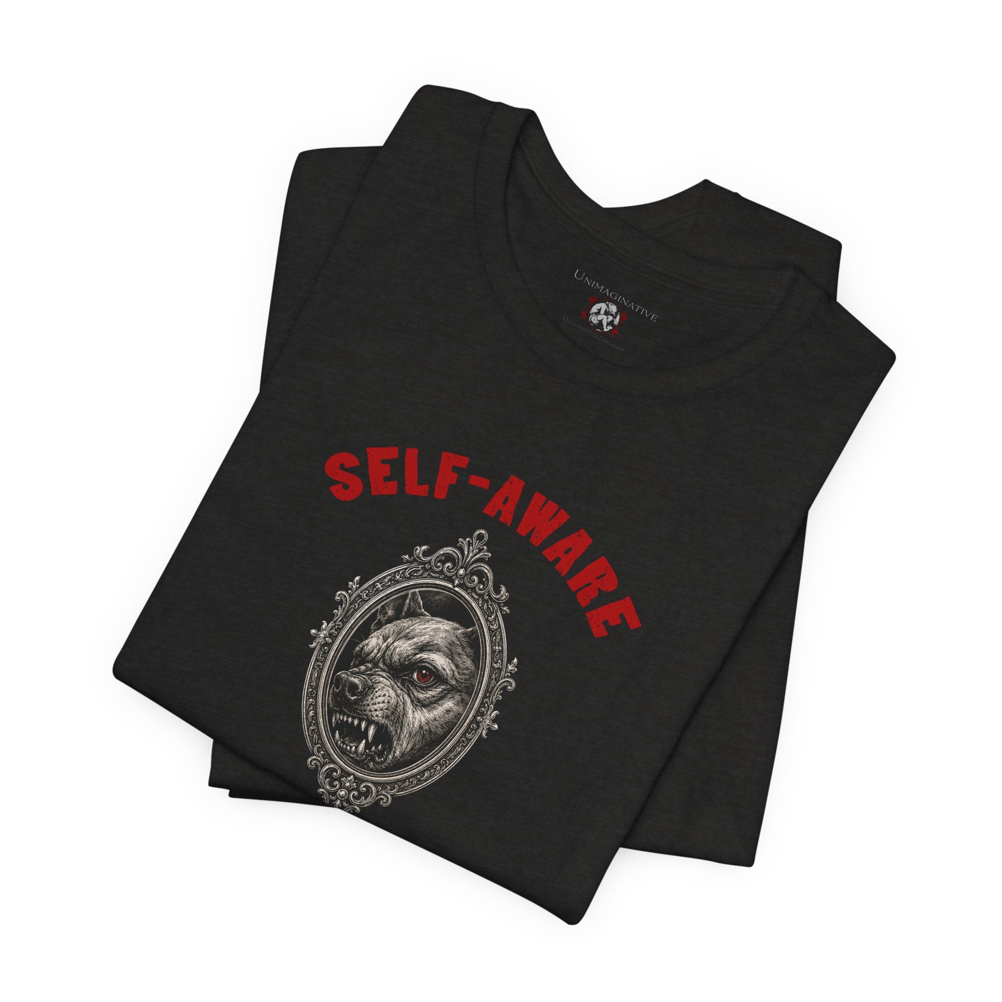 “Self-Aware” Unisex Jersey Short Sleeve Tee
