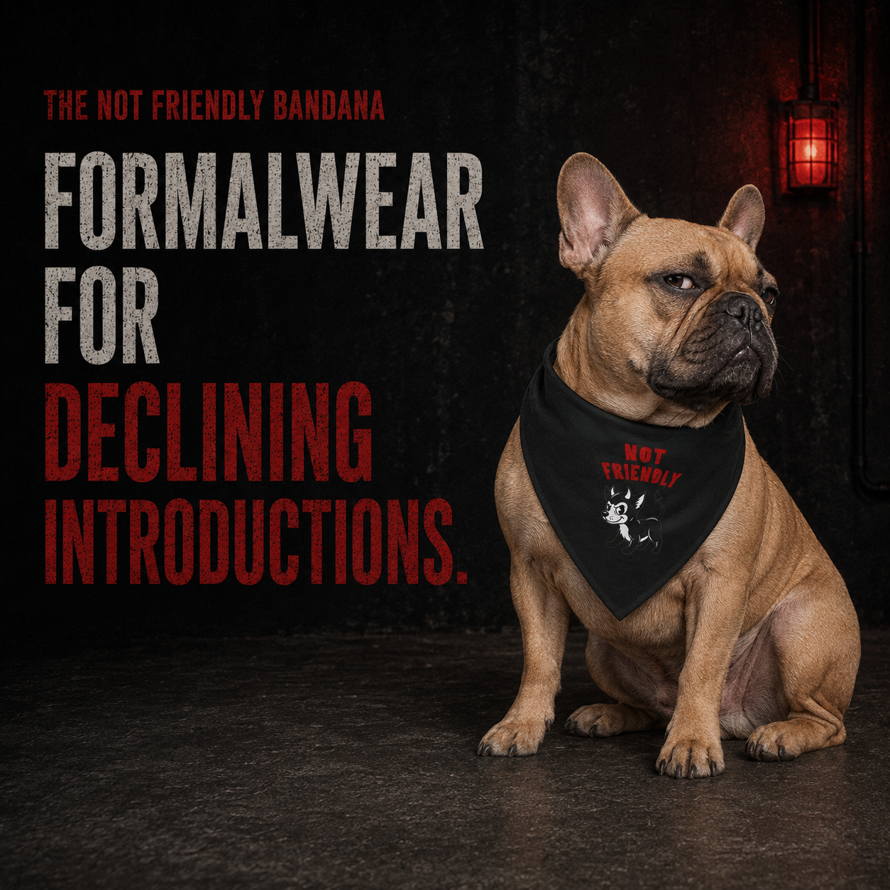 “Not Friendly” Pet Bandana