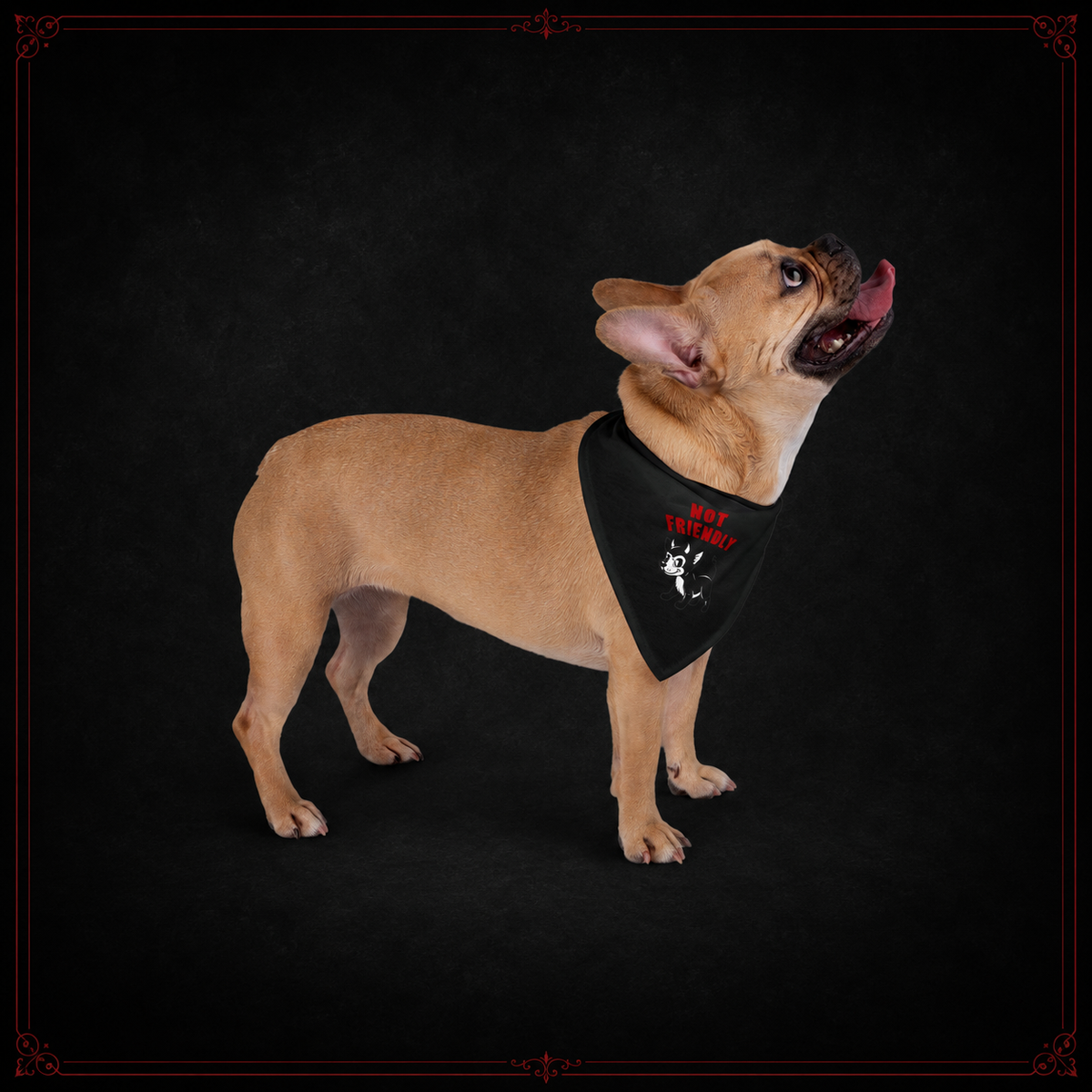 “Not Friendly” Pet Bandana