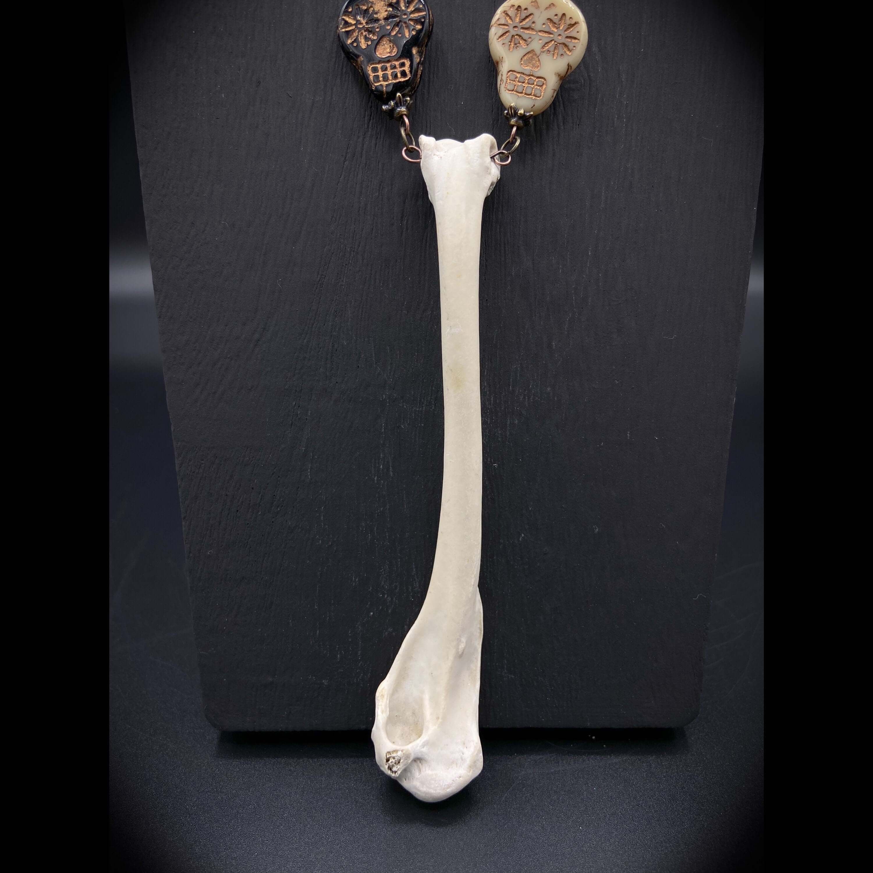 Beach Bone - Unimaginative By Charli Siebert